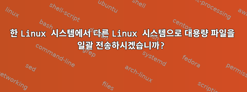 한 Linux 시스템에서 다른 Linux 시스템으로 대용량 파일을 일괄 전송하시겠습니까?