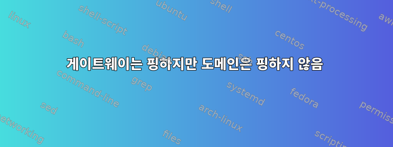 게이트웨이는 핑하지만 도메인은 핑하지 않음