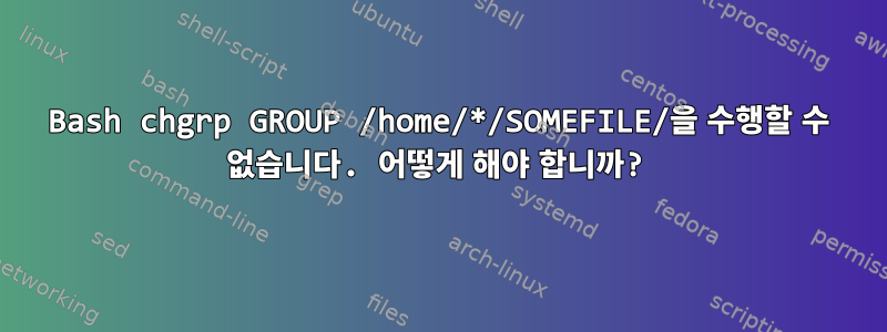 Bash chgrp GROUP /home/*/SOMEFILE/을 수행할 수 없습니다. 어떻게 해야 합니까?