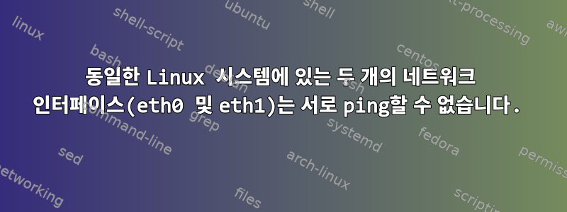 동일한 Linux 시스템에 있는 두 개의 네트워크 인터페이스(eth0 및 eth1)는 서로 ping할 수 없습니다.