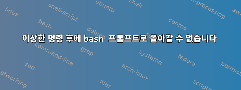 이상한 명령 후에 bash 프롬프트로 돌아갈 수 없습니다