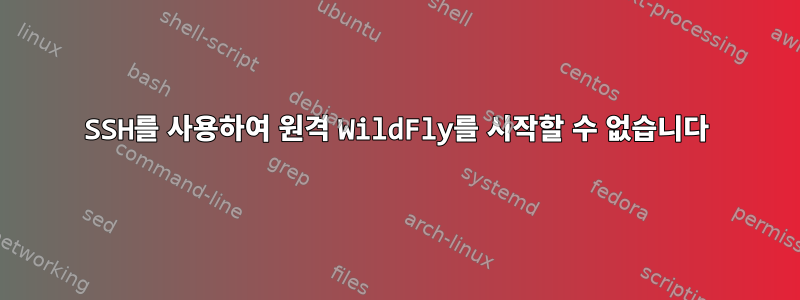 SSH를 사용하여 원격 WildFly를 시작할 수 없습니다