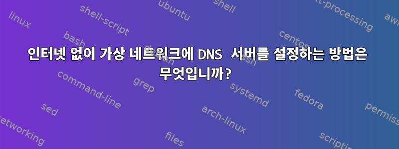 인터넷 없이 가상 네트워크에 DNS 서버를 설정하는 방법은 무엇입니까?