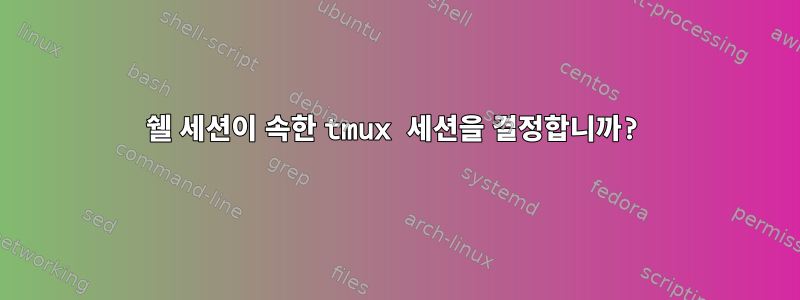 쉘 세션이 속한 tmux 세션을 결정합니까?