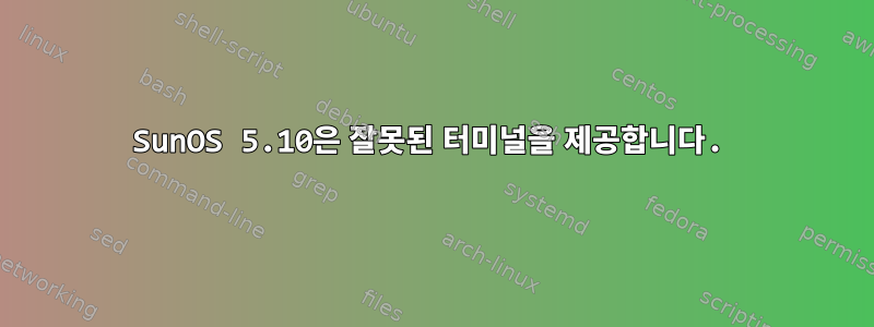 SunOS 5.10은 잘못된 터미널을 제공합니다.