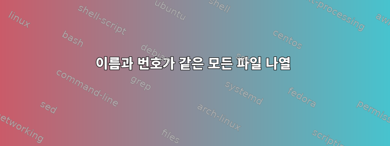 이름과 번호가 같은 모든 파일 나열