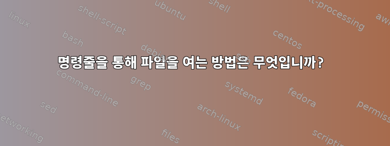 명령줄을 통해 파일을 여는 방법은 무엇입니까?