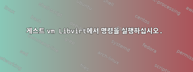 게스트 vm Libvirt에서 명령을 실행하십시오.