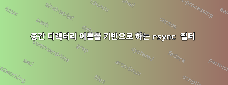 중간 디렉터리 이름을 기반으로 하는 rsync 필터