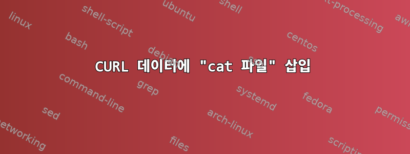 CURL 데이터에 "cat 파일" 삽입