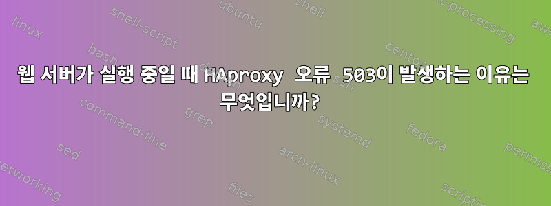 웹 서버가 실행 중일 때 HAproxy 오류 503이 발생하는 이유는 무엇입니까?