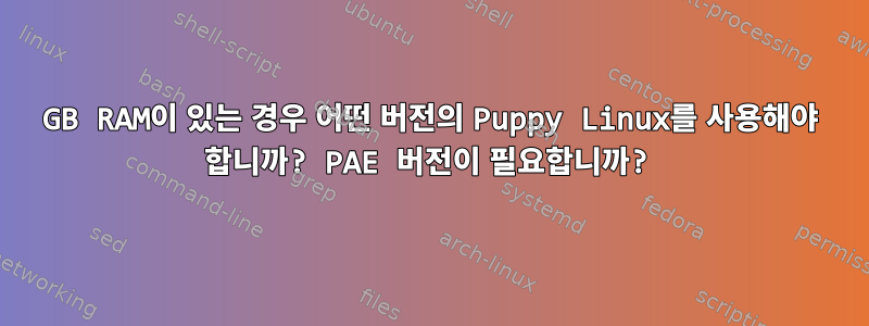 2GB RAM이 있는 경우 어떤 버전의 Puppy Linux를 사용해야 합니까? PAE 버전이 필요합니까?