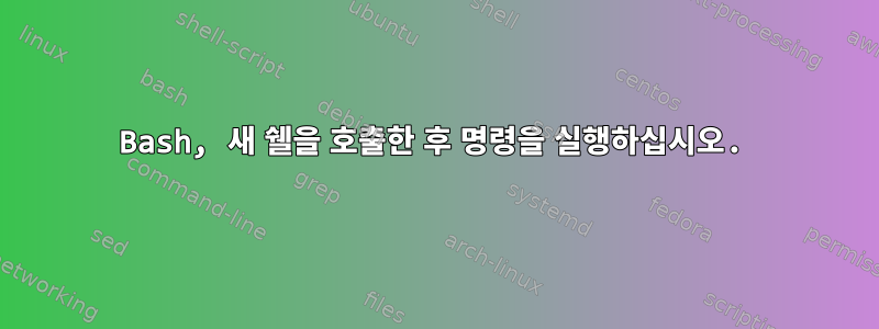 Bash, 새 쉘을 호출한 후 명령을 실행하십시오.