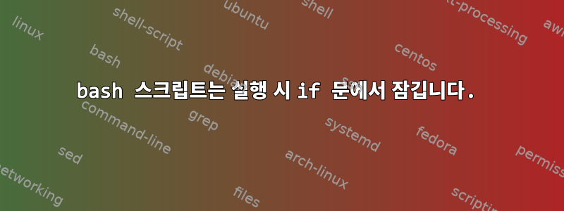 bash 스크립트는 실행 시 if 문에서 잠깁니다.