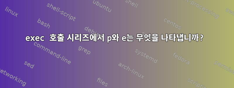 exec 호출 시리즈에서 p와 e는 무엇을 나타냅니까?