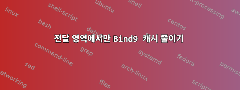 전달 영역에서만 Bind9 캐시 줄이기