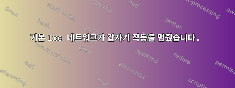 기본 lxc 네트워크가 갑자기 작동을 멈췄습니다.