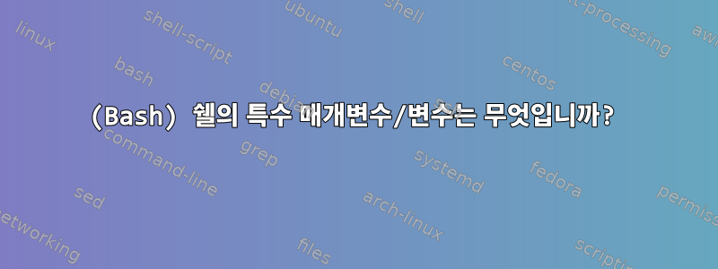 (Bash) 쉘의 특수 매개변수/변수는 무엇입니까?