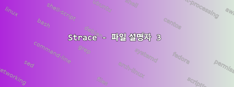 Strace - 파일 설명자 3