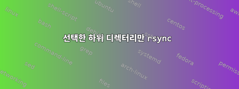 선택한 하위 디렉터리만 rsync