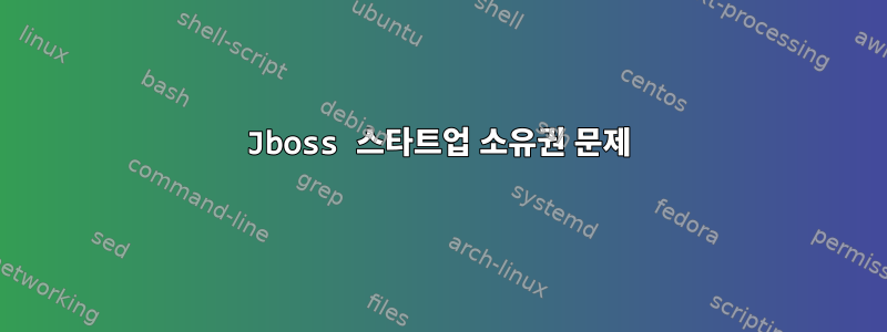 Jboss 스타트업 소유권 문제