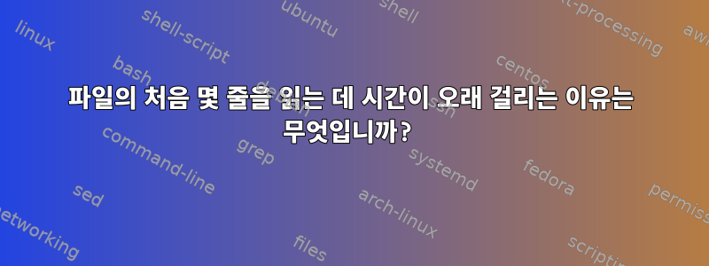 파일의 처음 몇 줄을 읽는 데 시간이 오래 걸리는 이유는 무엇입니까?