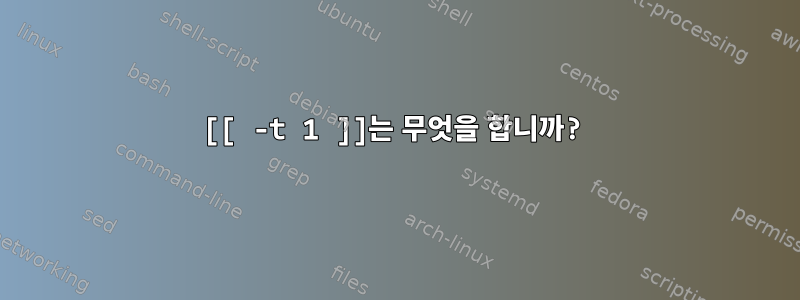 [[ -t 1 ]]는 무엇을 합니까?