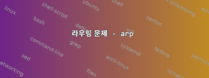 라우팅 문제 - arp