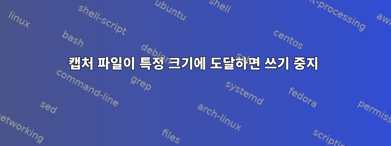 캡처 파일이 특정 크기에 도달하면 쓰기 중지