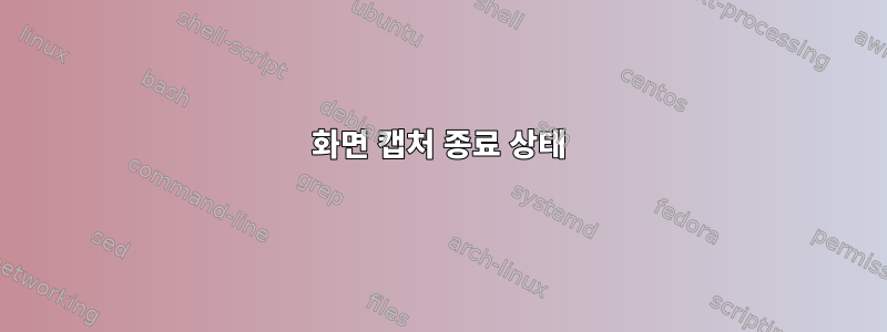 화면 캡처 종료 상태