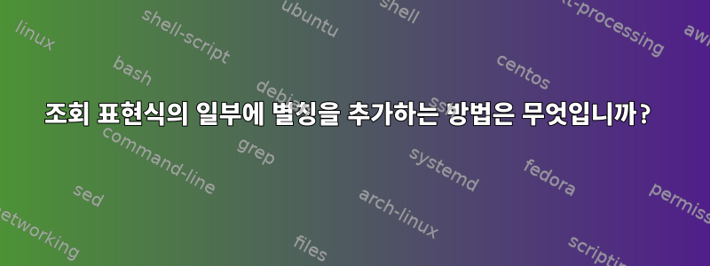 조회 표현식의 일부에 별칭을 추가하는 방법은 무엇입니까?