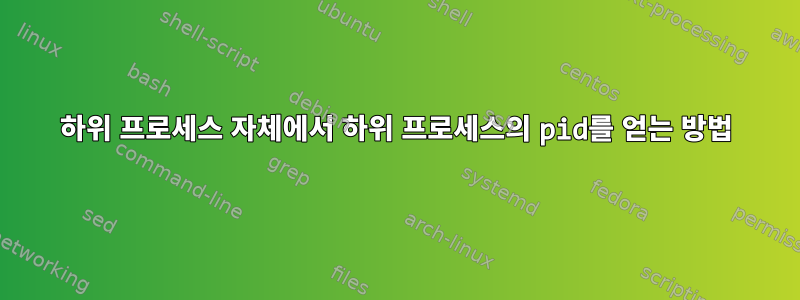 하위 프로세스 자체에서 하위 프로세스의 pid를 얻는 방법