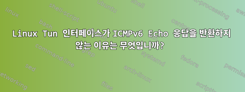 Linux Tun 인터페이스가 ICMPv6 Echo 응답을 반환하지 않는 이유는 무엇입니까?