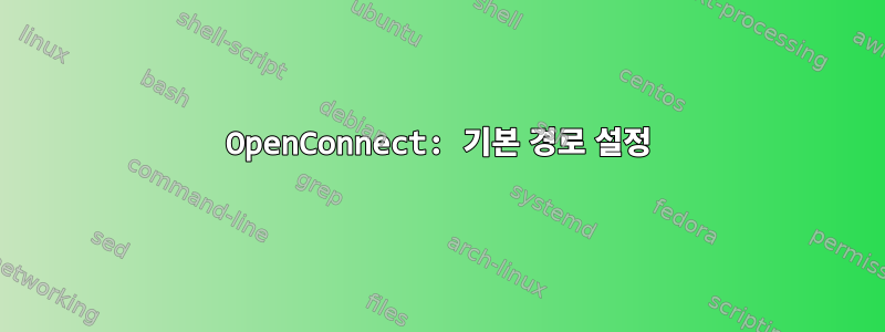 OpenConnect: 기본 경로 설정