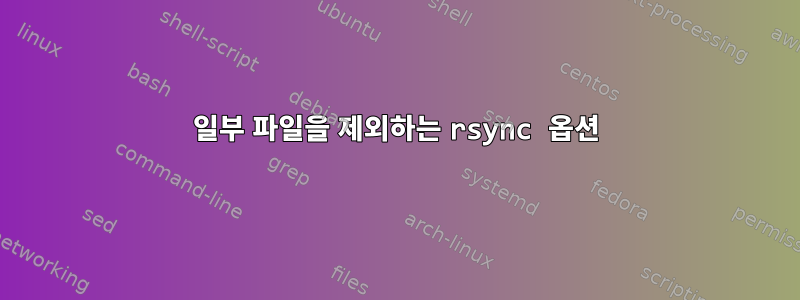 일부 파일을 제외하는 rsync 옵션