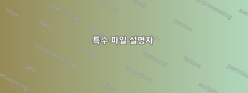 특수 파일 설명자