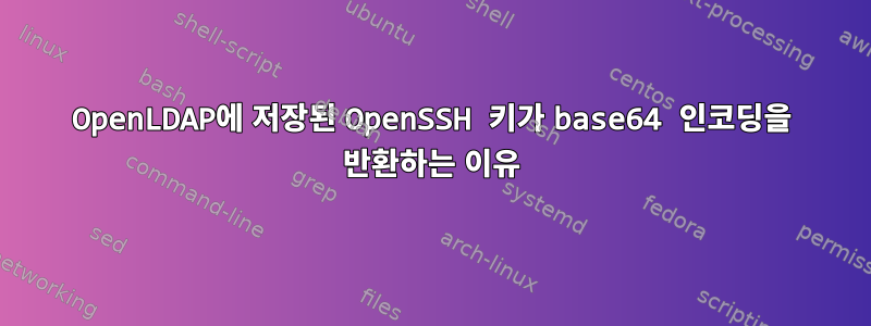 OpenLDAP에 저장된 OpenSSH 키가 base64 인코딩을 반환하는 이유