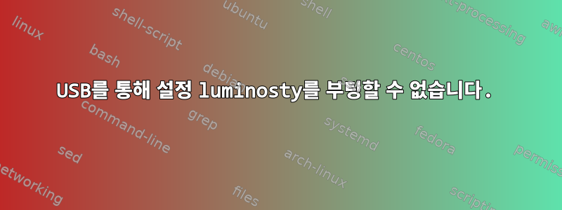 USB를 통해 설정 luminosty를 부팅할 수 없습니다.