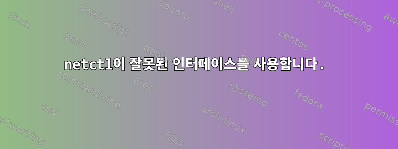 netctl이 잘못된 인터페이스를 사용합니다.