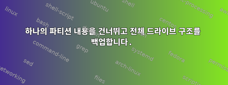 하나의 파티션 내용을 건너뛰고 전체 드라이브 구조를 백업합니다.