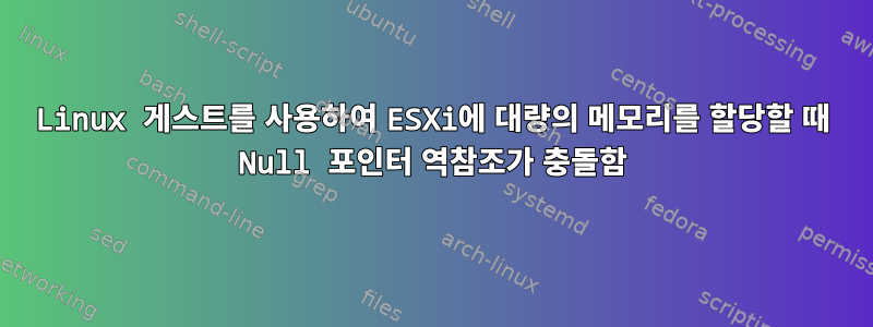 Linux 게스트를 사용하여 ESXi에 대량의 메모리를 할당할 때 Null 포인터 역참조가 충돌함