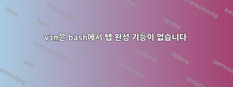 vim은 bash에서 탭 완성 기능이 없습니다