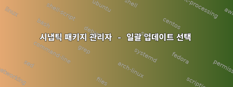 시냅틱 패키지 관리자 - 일괄 업데이트 선택