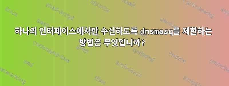 하나의 인터페이스에서만 수신하도록 dnsmasq를 제한하는 방법은 무엇입니까?