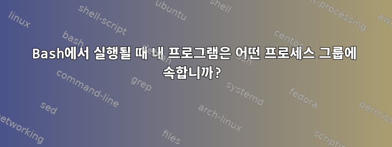 Bash에서 실행될 때 내 프로그램은 어떤 프로세스 그룹에 속합니까?