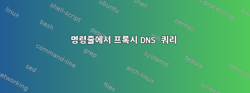 명령줄에서 프록시 DNS 쿼리