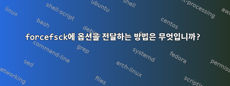 forcefsck에 옵션을 전달하는 방법은 무엇입니까?