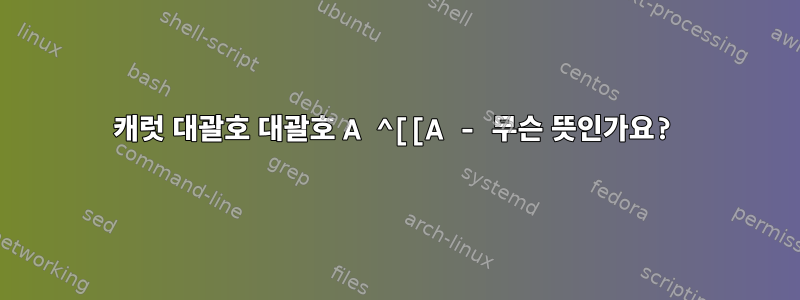 캐럿 대괄호 대괄호 A ^[[A - 무슨 뜻인가요?