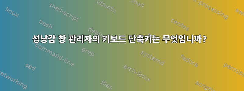 성냥갑 창 관리자의 키보드 단축키는 무엇입니까?