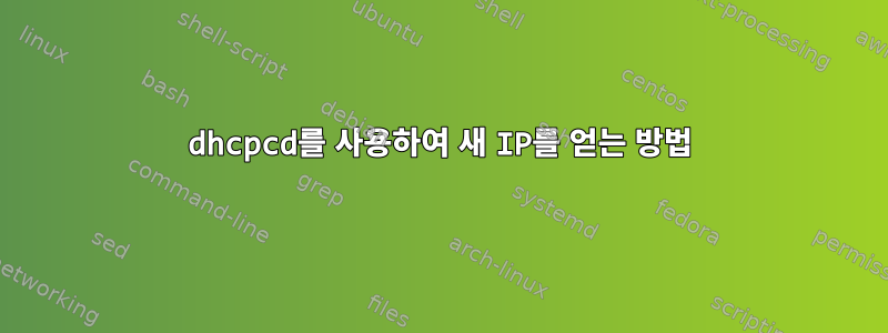 dhcpcd를 사용하여 새 IP를 얻는 방법